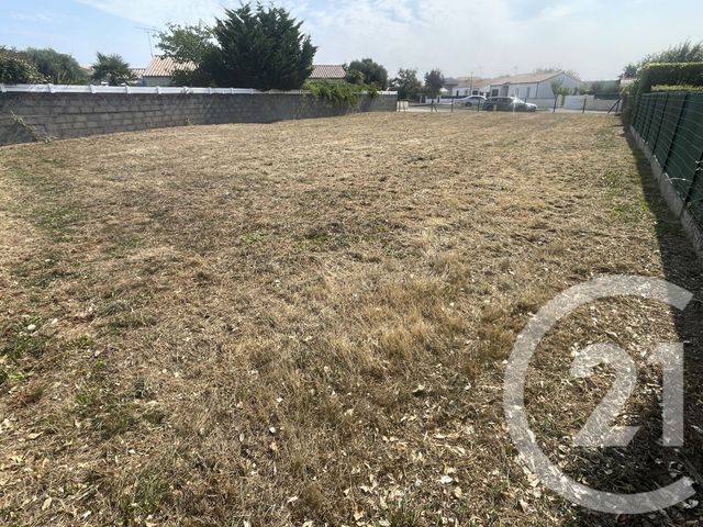 terrain à vendre - 679.0 m2 - LONGEVILLE SUR MER - 85 - PAYS-DE-LOIRE - Century 21 Océan Immobilier